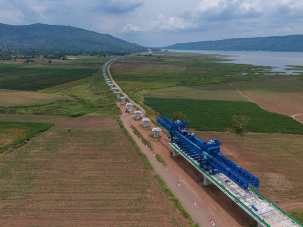 Die besten Haustierprodukte die die Zukunft der Branche prägen