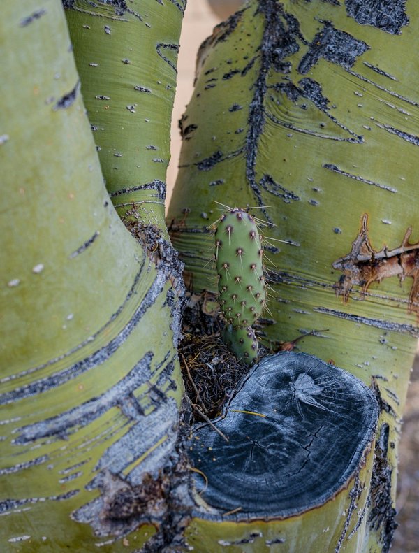 Die neuesten Sportgeräte um in unsicheren Zeiten zu bestehen